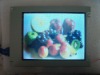 sell lcd LCA4VE02A LQ10D341 LQ10D41 LP104S2 LCA4SE01A LQ06BW504CT LQ06BW51NT